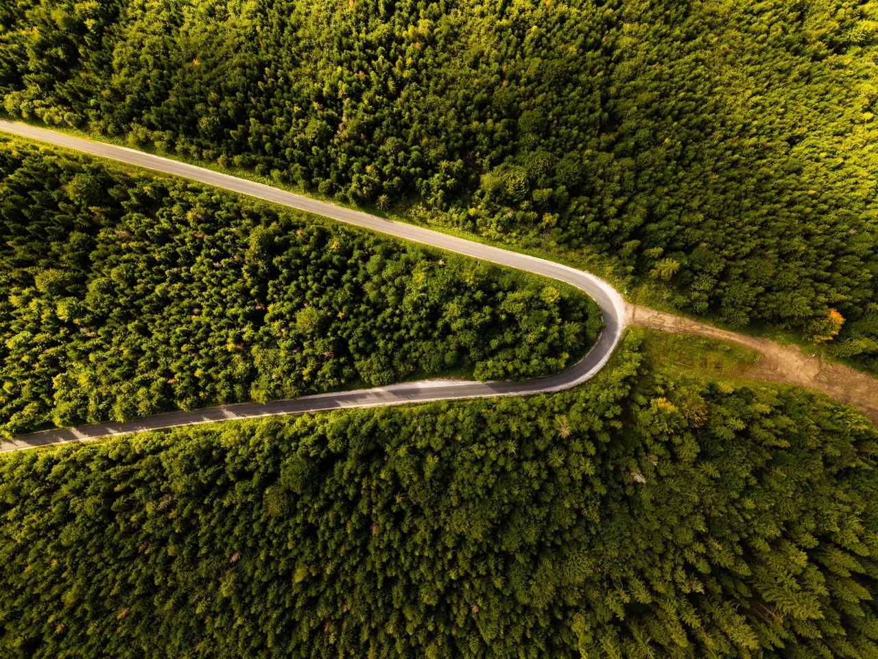 DJI_20250919145615_0042_D.jpg