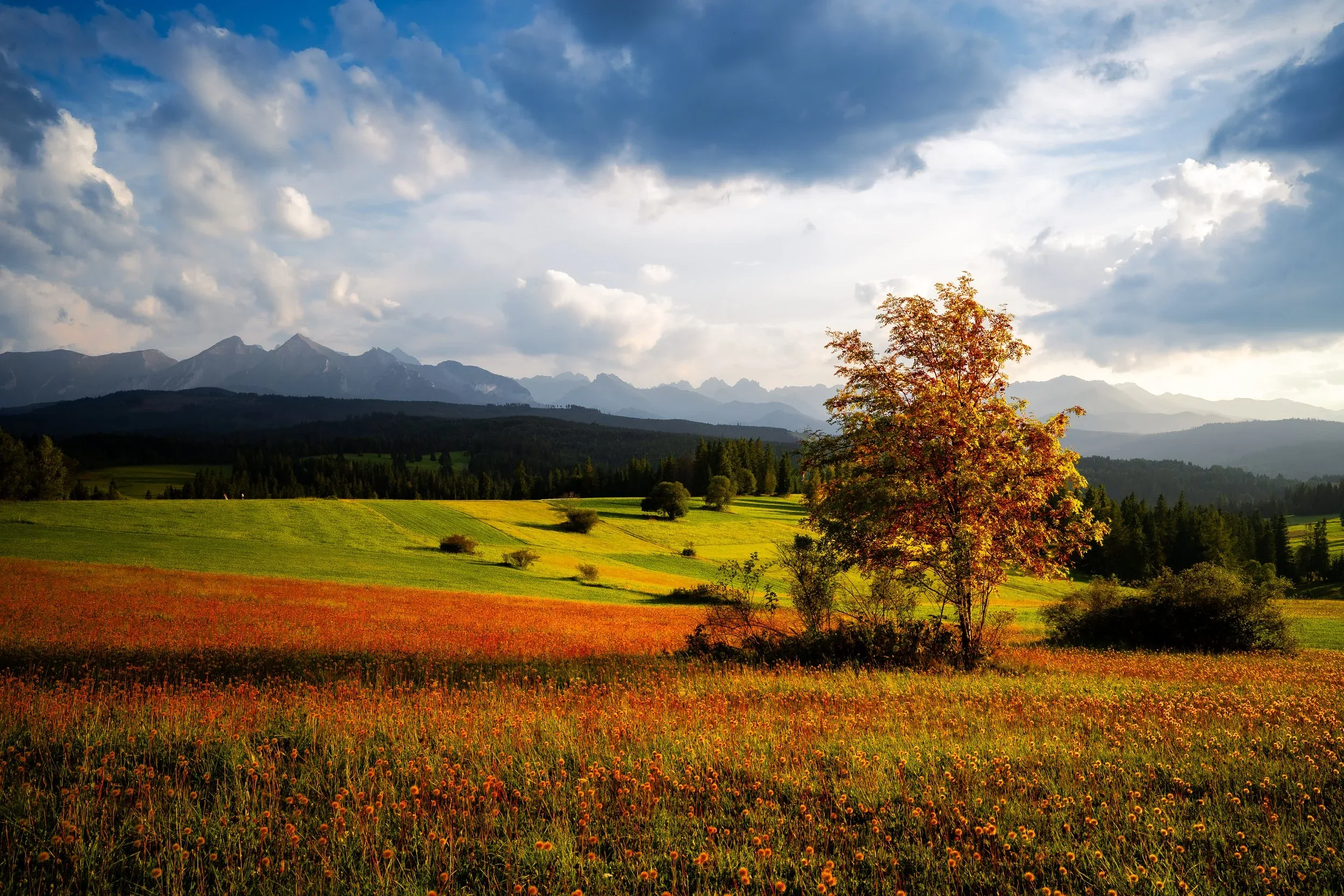 Slovensko