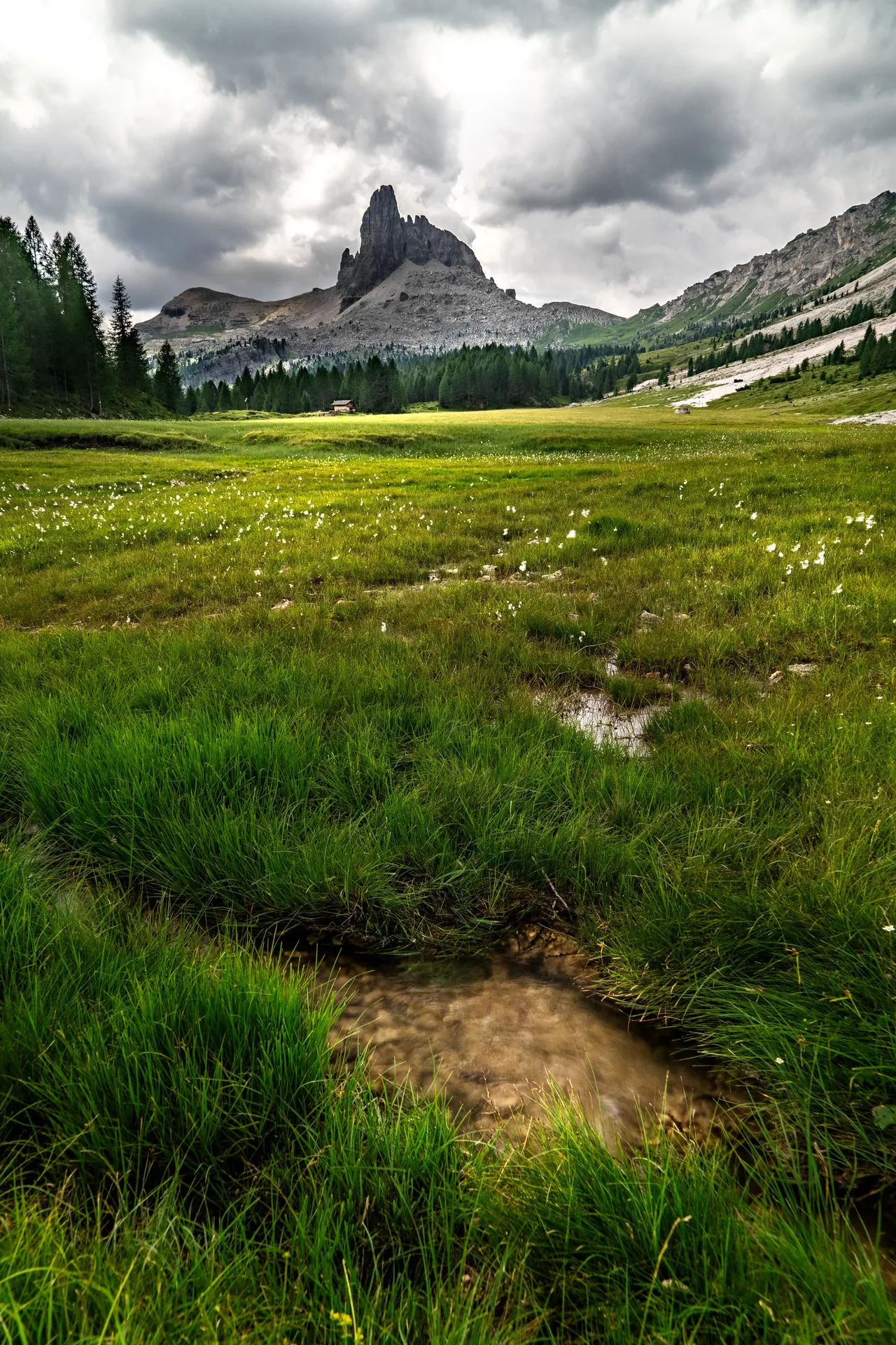 DSC05547-HDR.jpg
