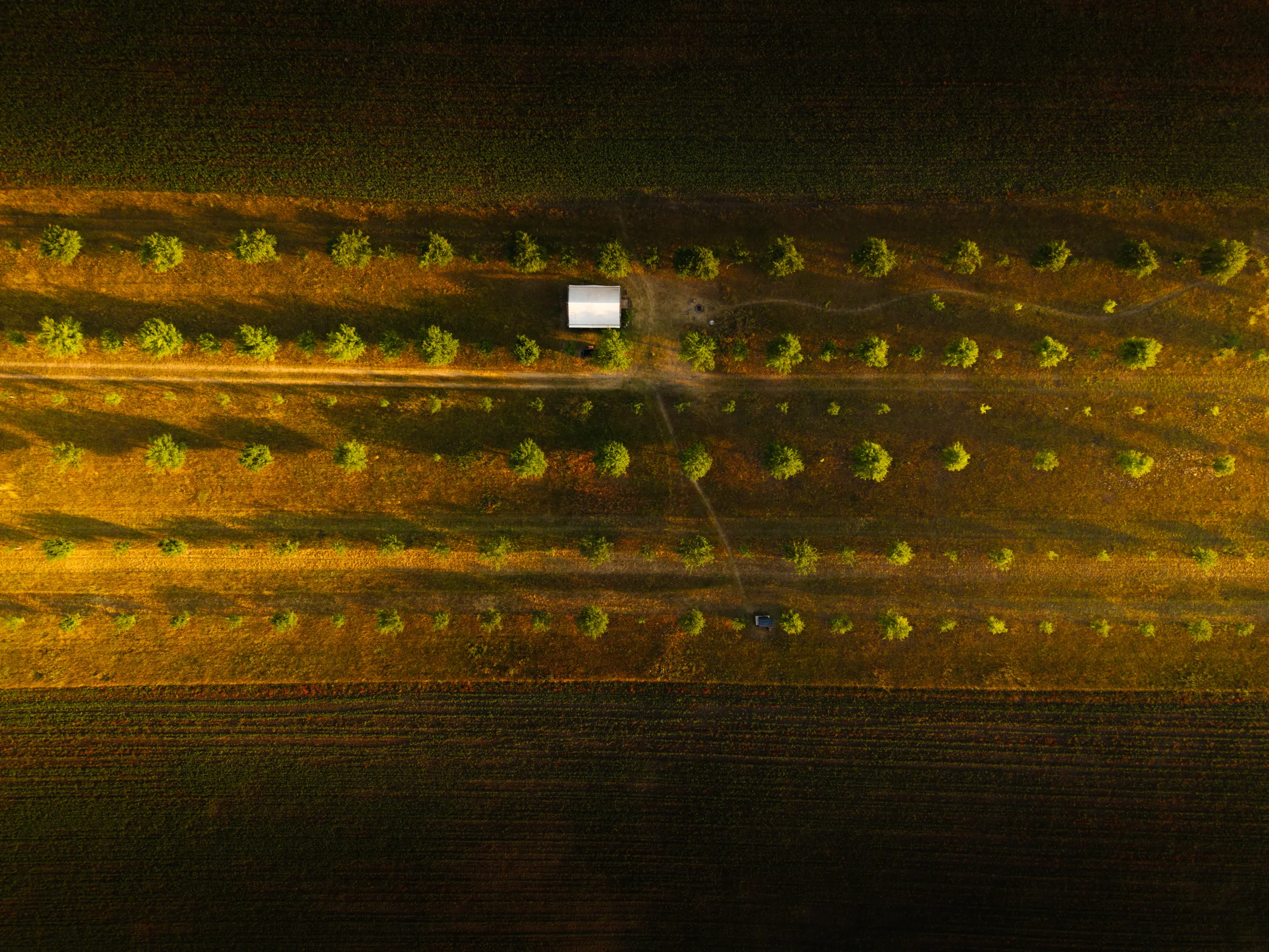 DJI FC9113 8192x6144 000466 Edit