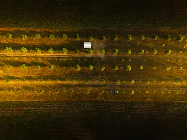 DJI FC9113 8192x6144 000466 Edit