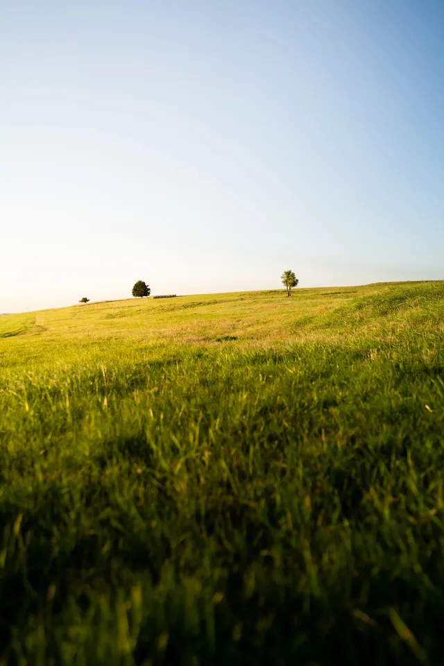 Česko