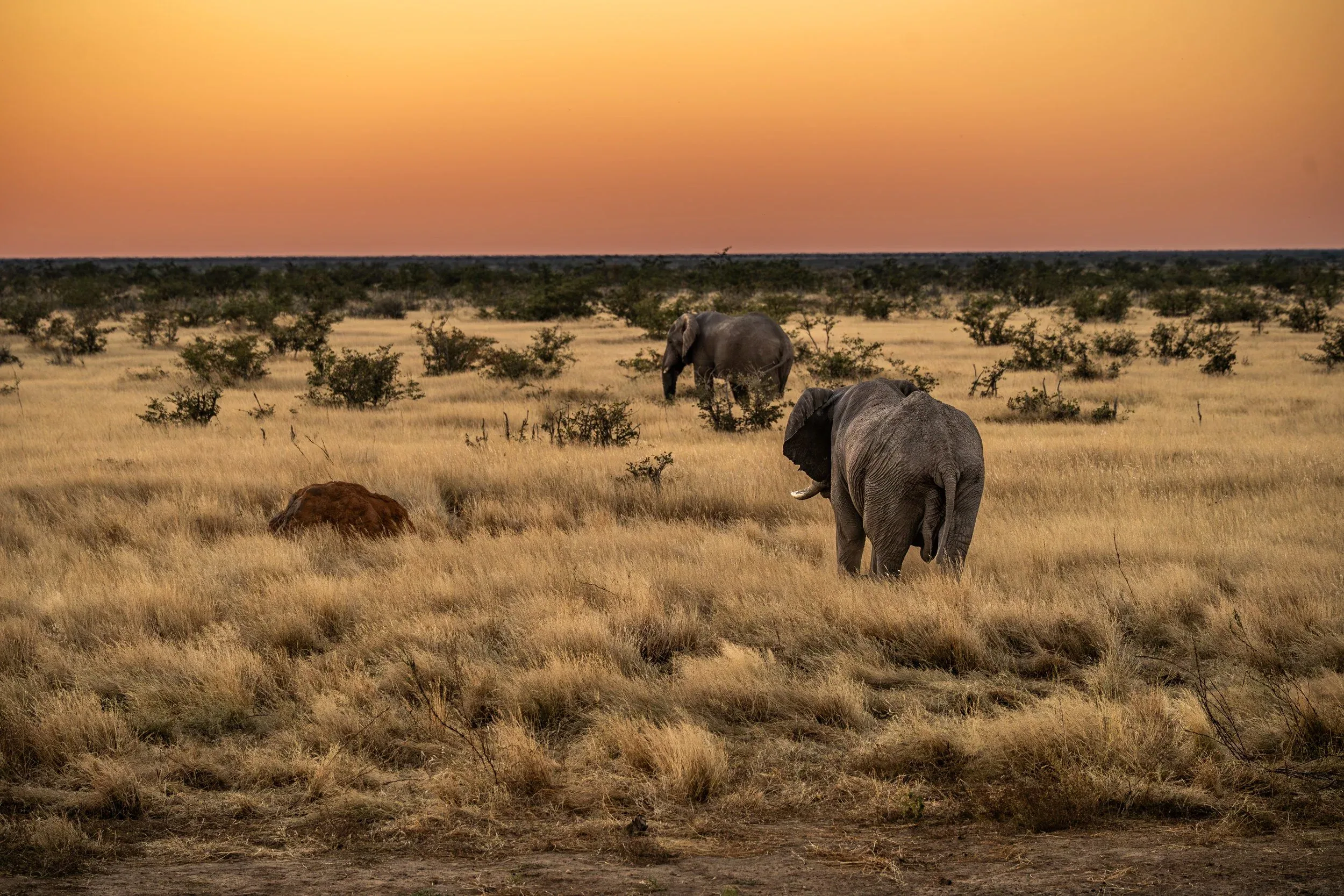 Namibie