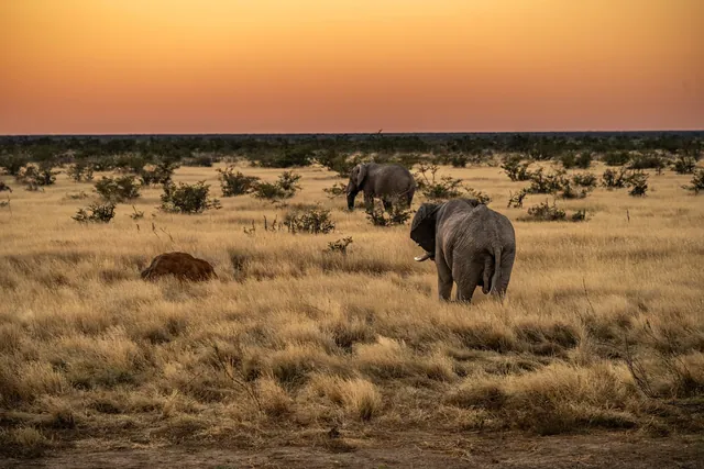 Namibie