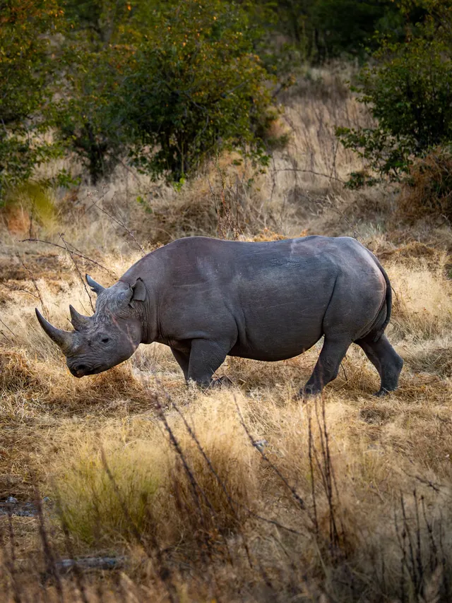 Namibie