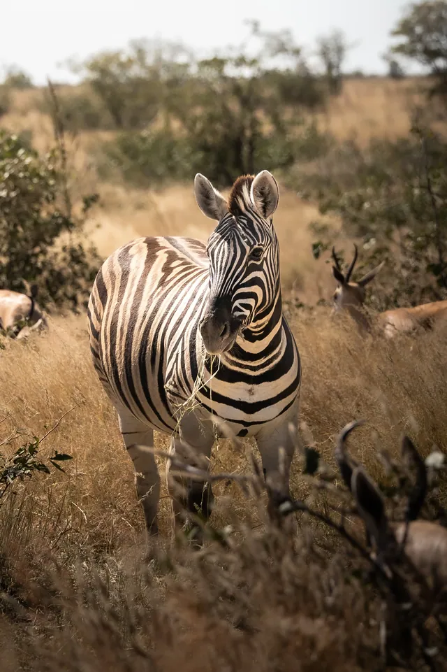 Namibie