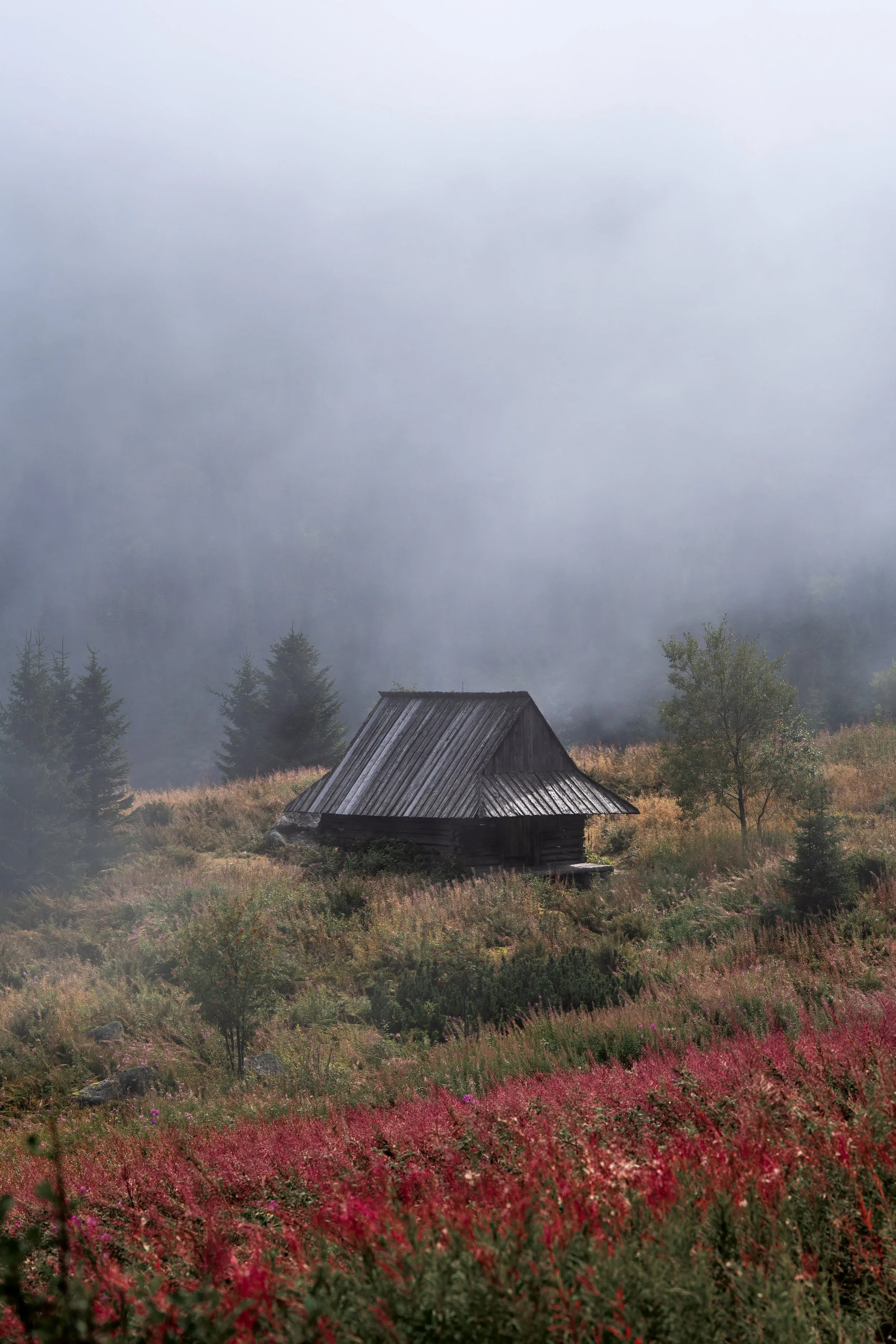 Slovensko