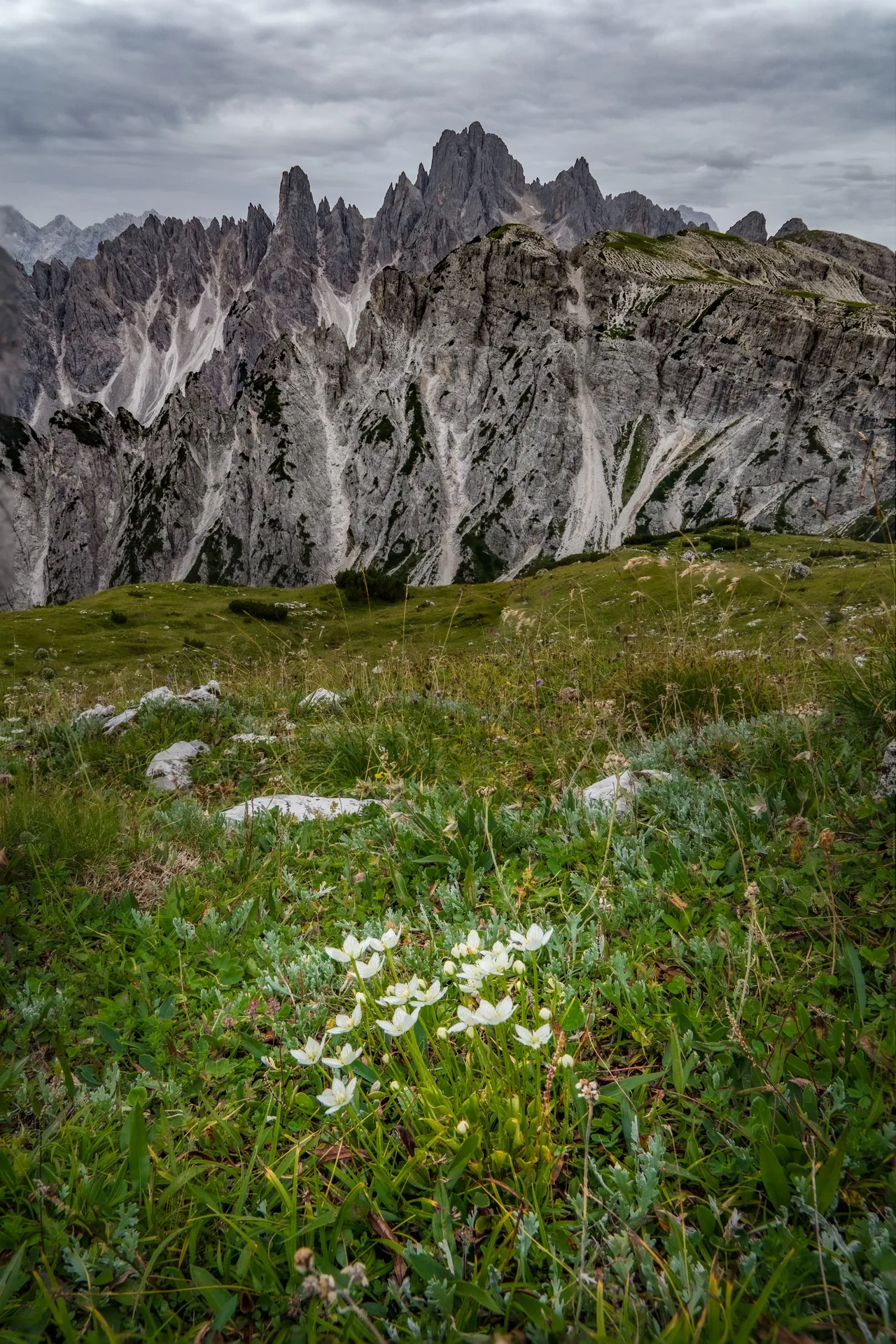 DSC06357-Edit.jpg