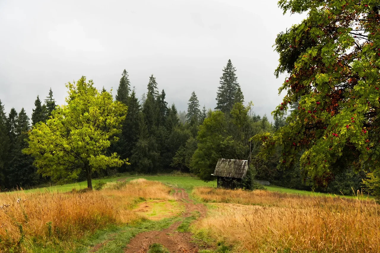 KAR06514.jpg