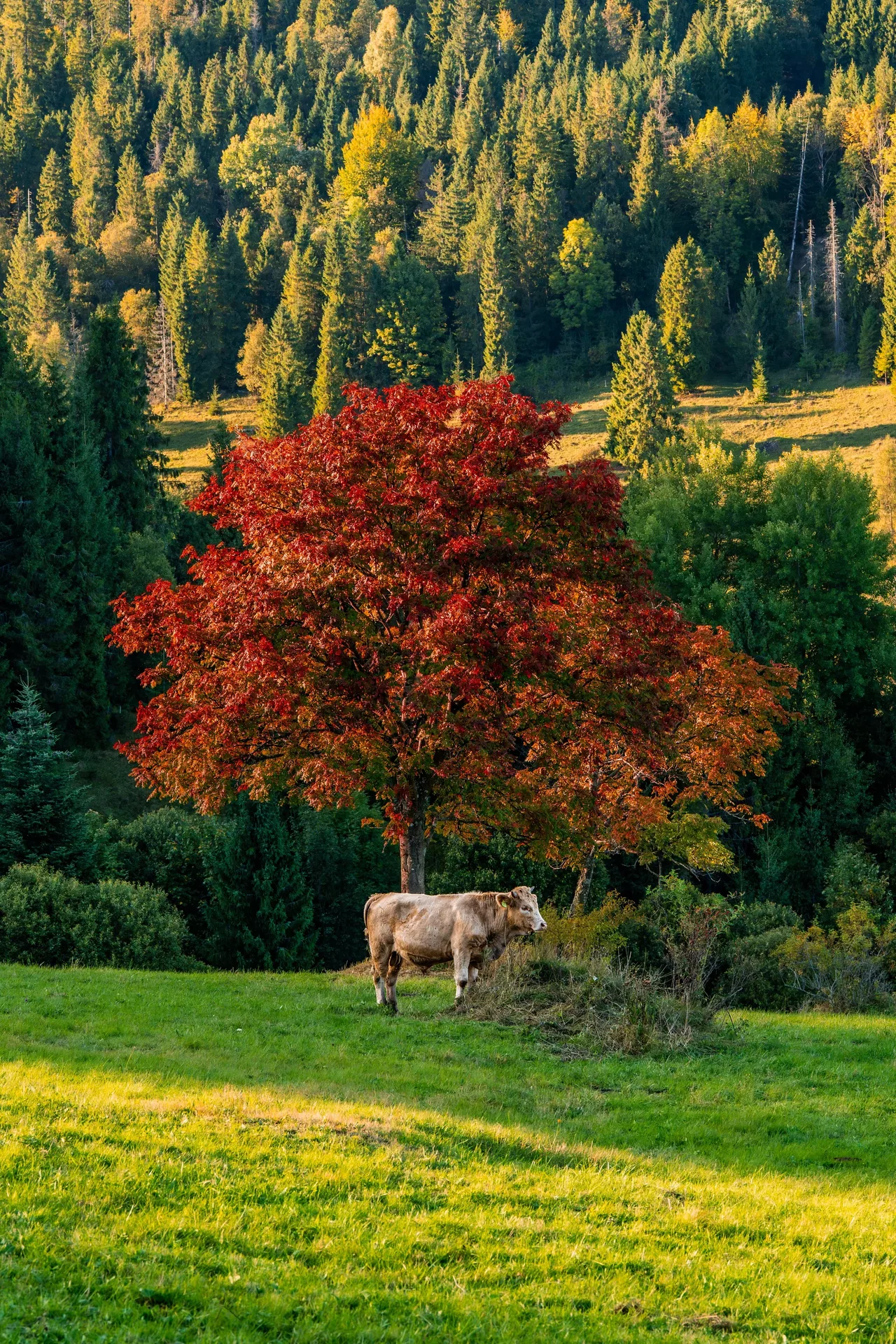 KAR01312-Enhanced-NR-Edit.jpg