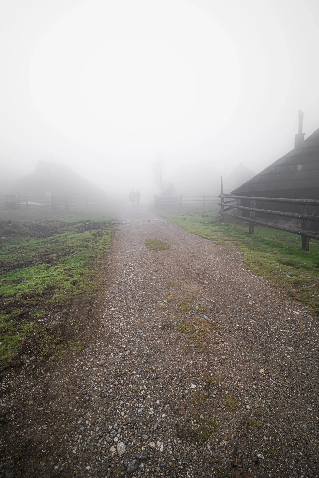 DSC09572.jpg