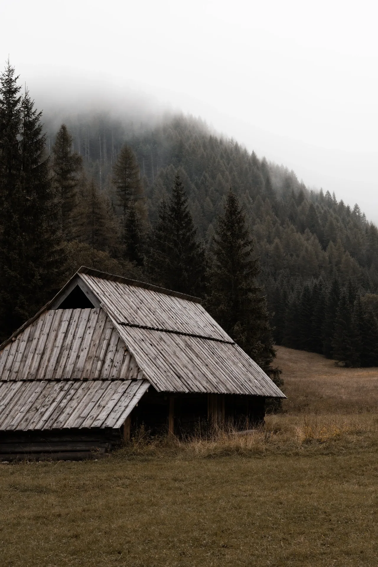KAR06596.jpg