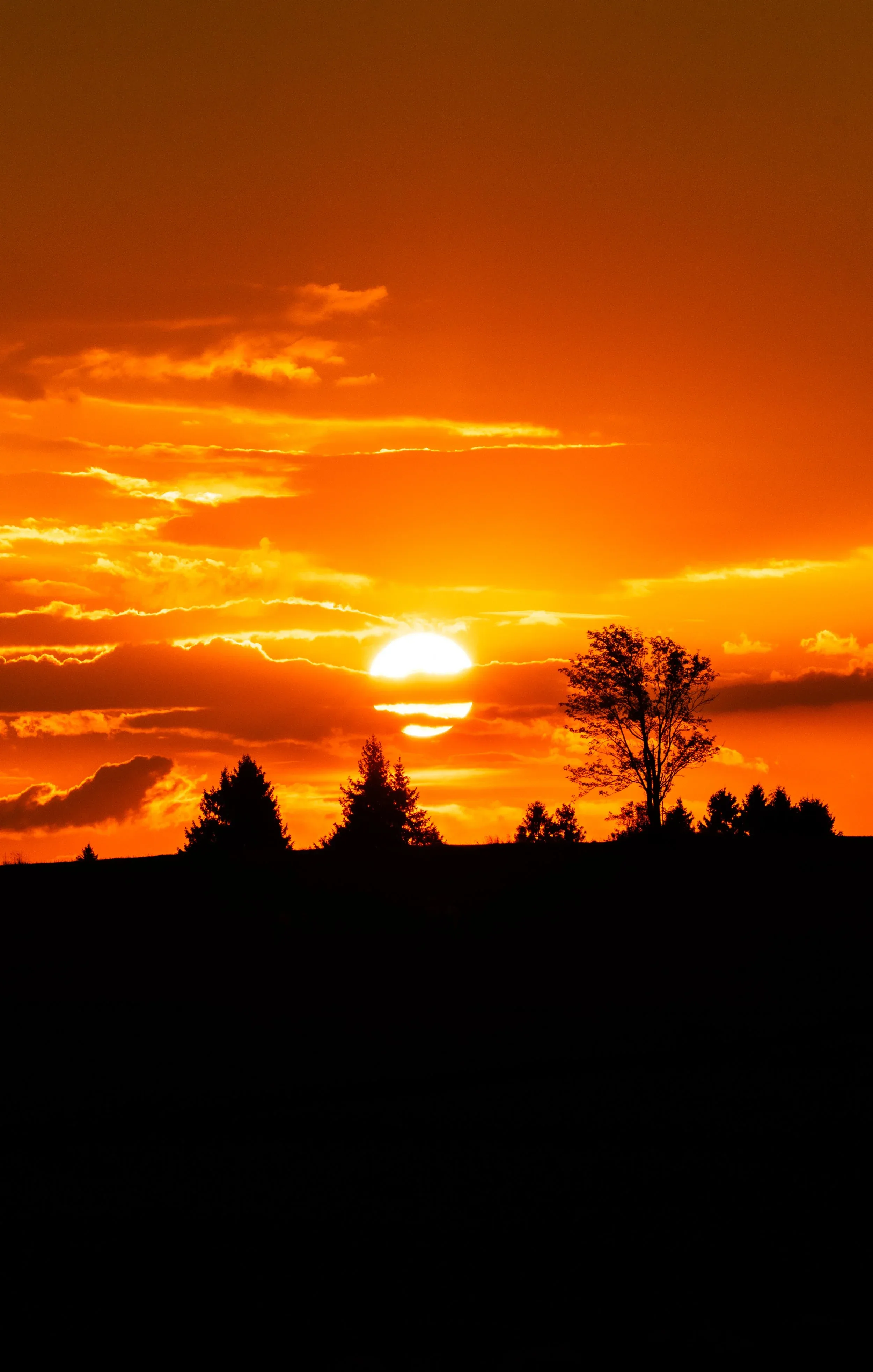 Slovensko