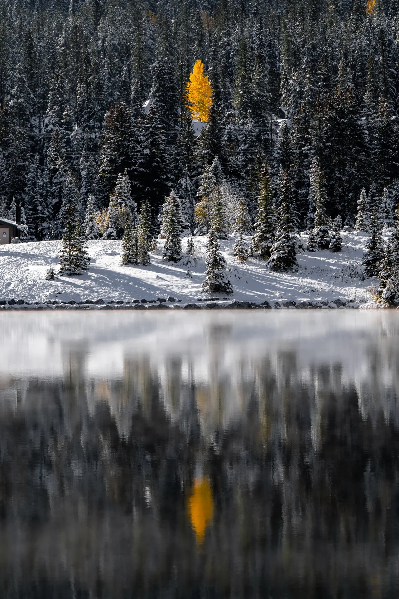 KAR05101.jpg