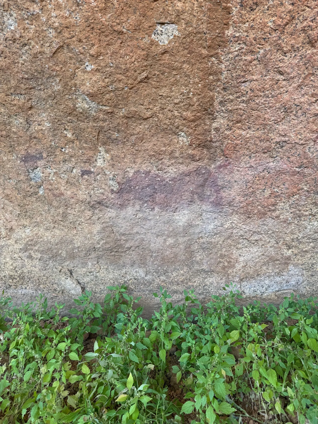 IMG_5435.jpeg
