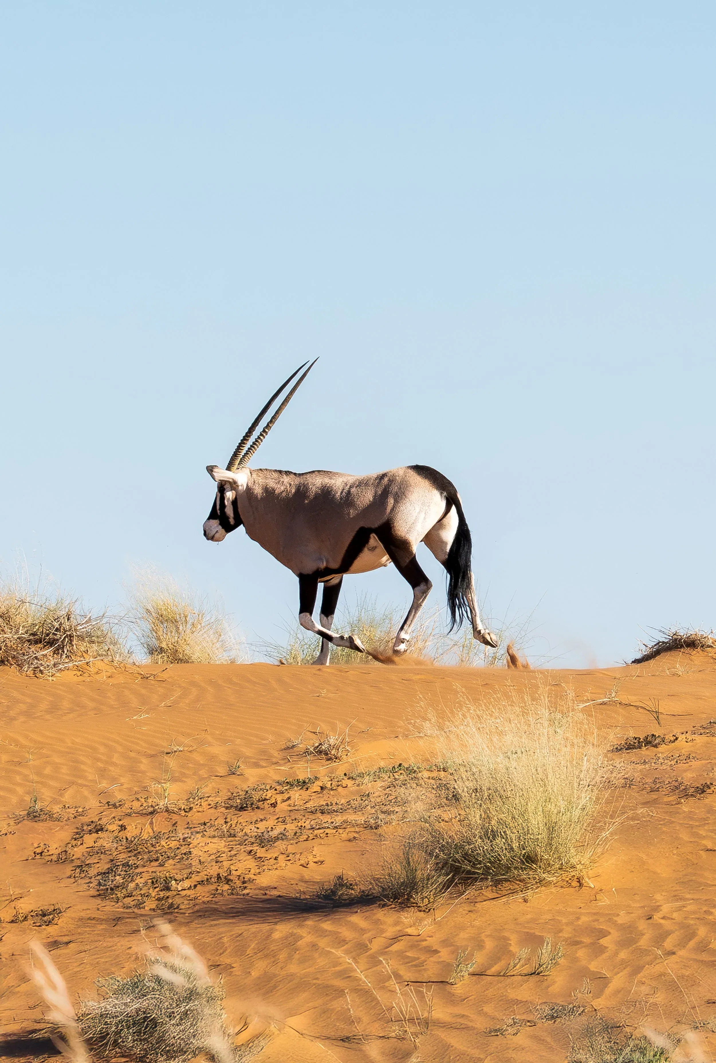 Namibia