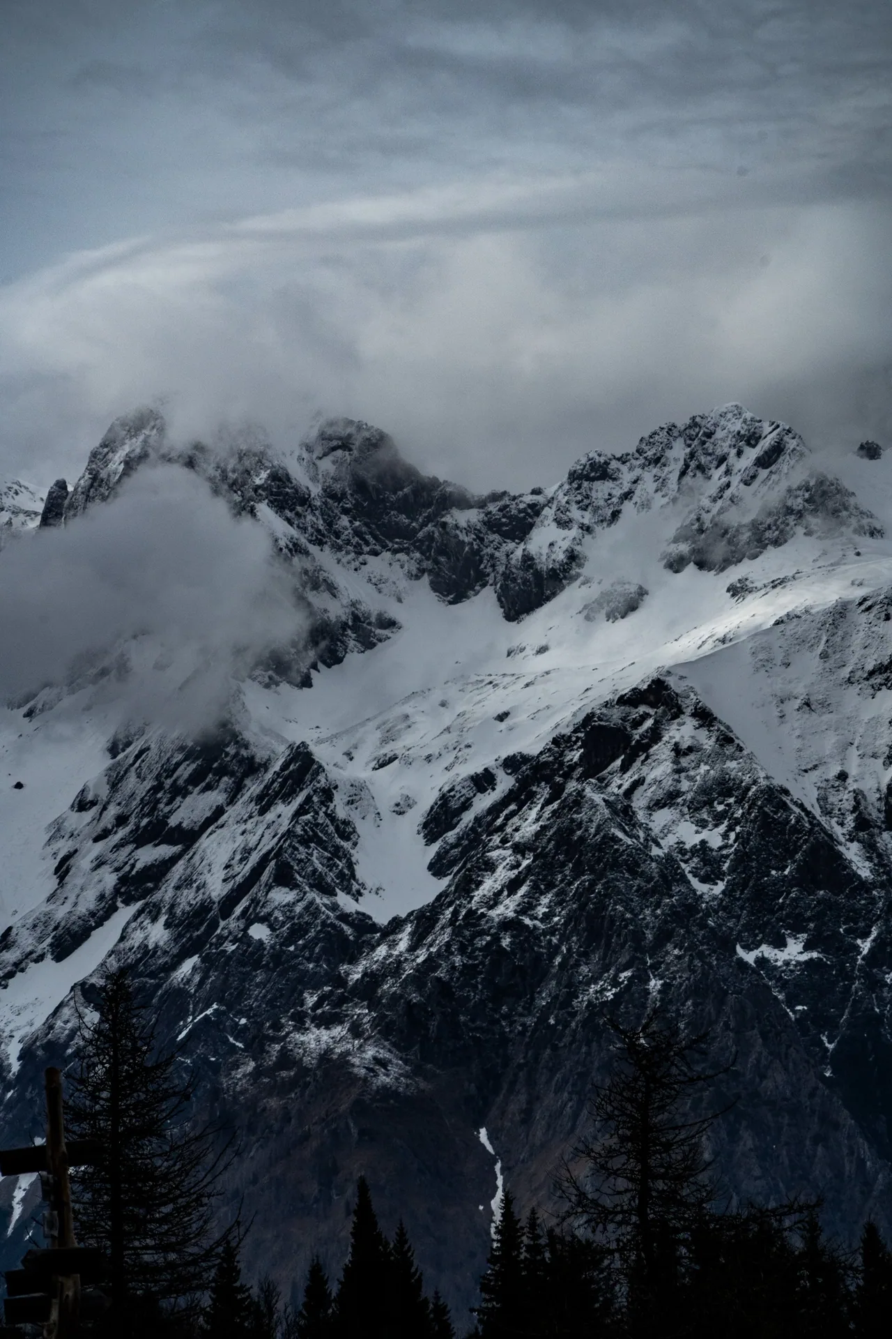 DSC09286.jpg