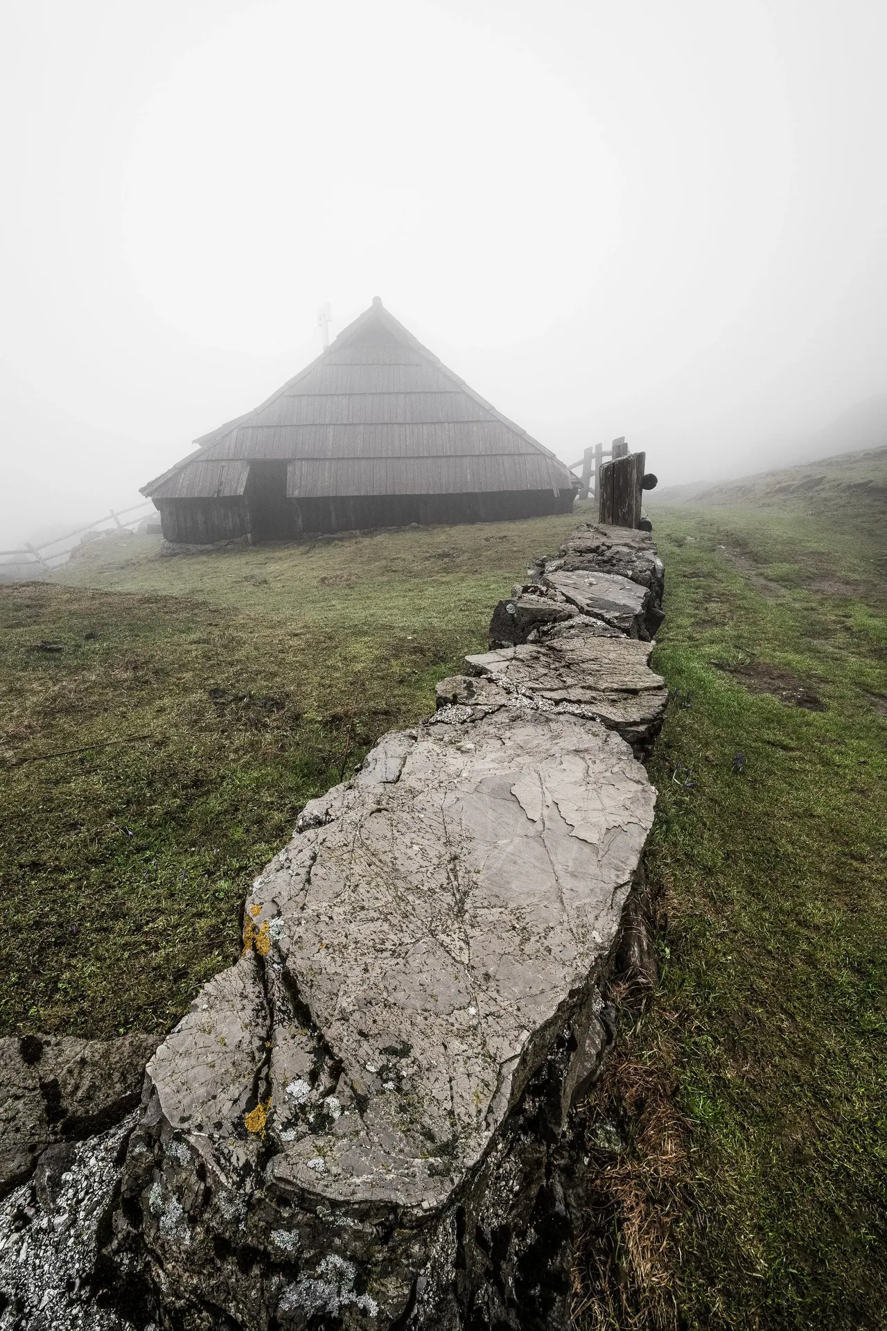 DSC09597-Edit.jpg