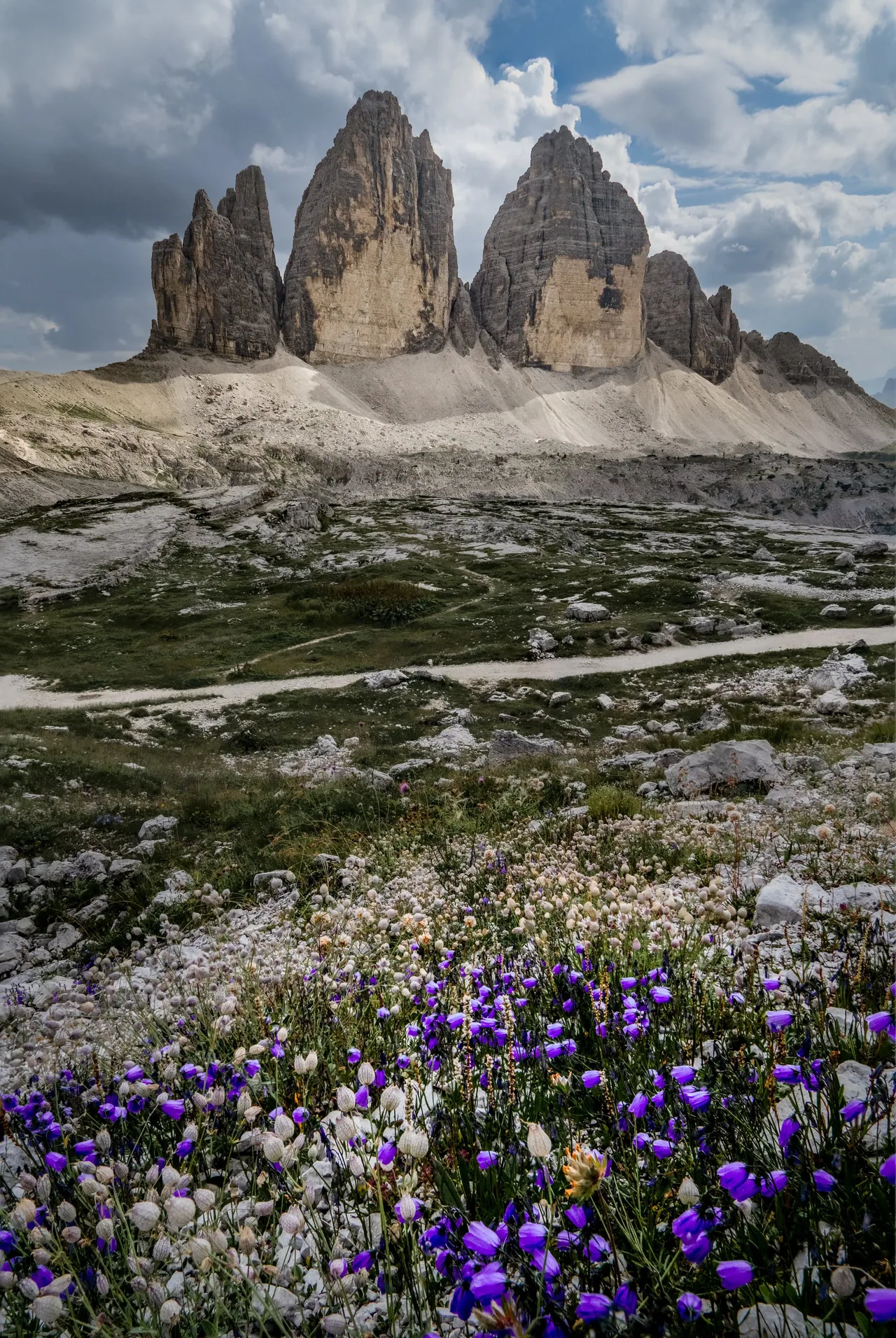 DSC06942-Edit-2-8.jpg