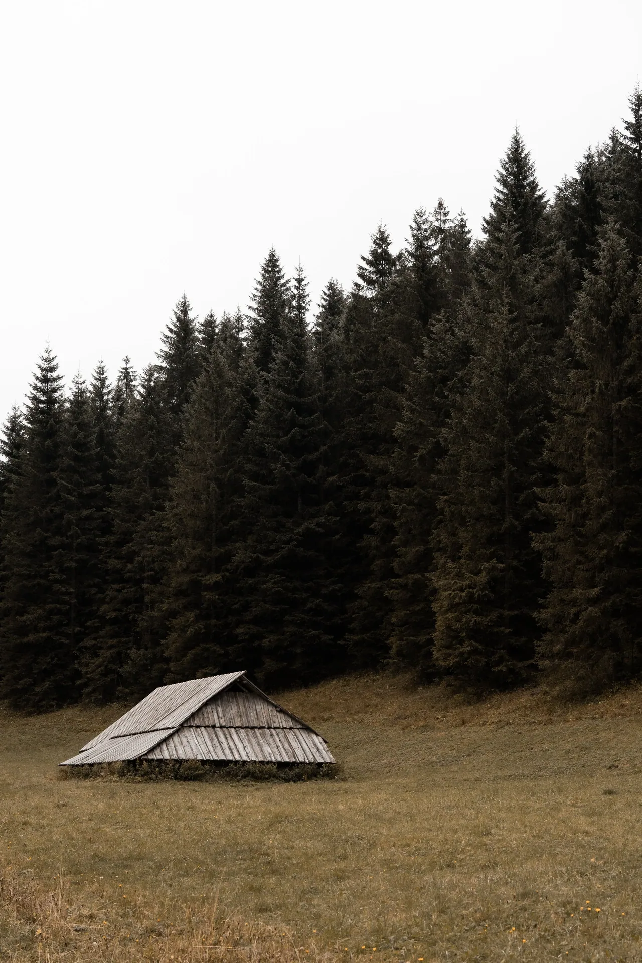 KAR06600.jpg