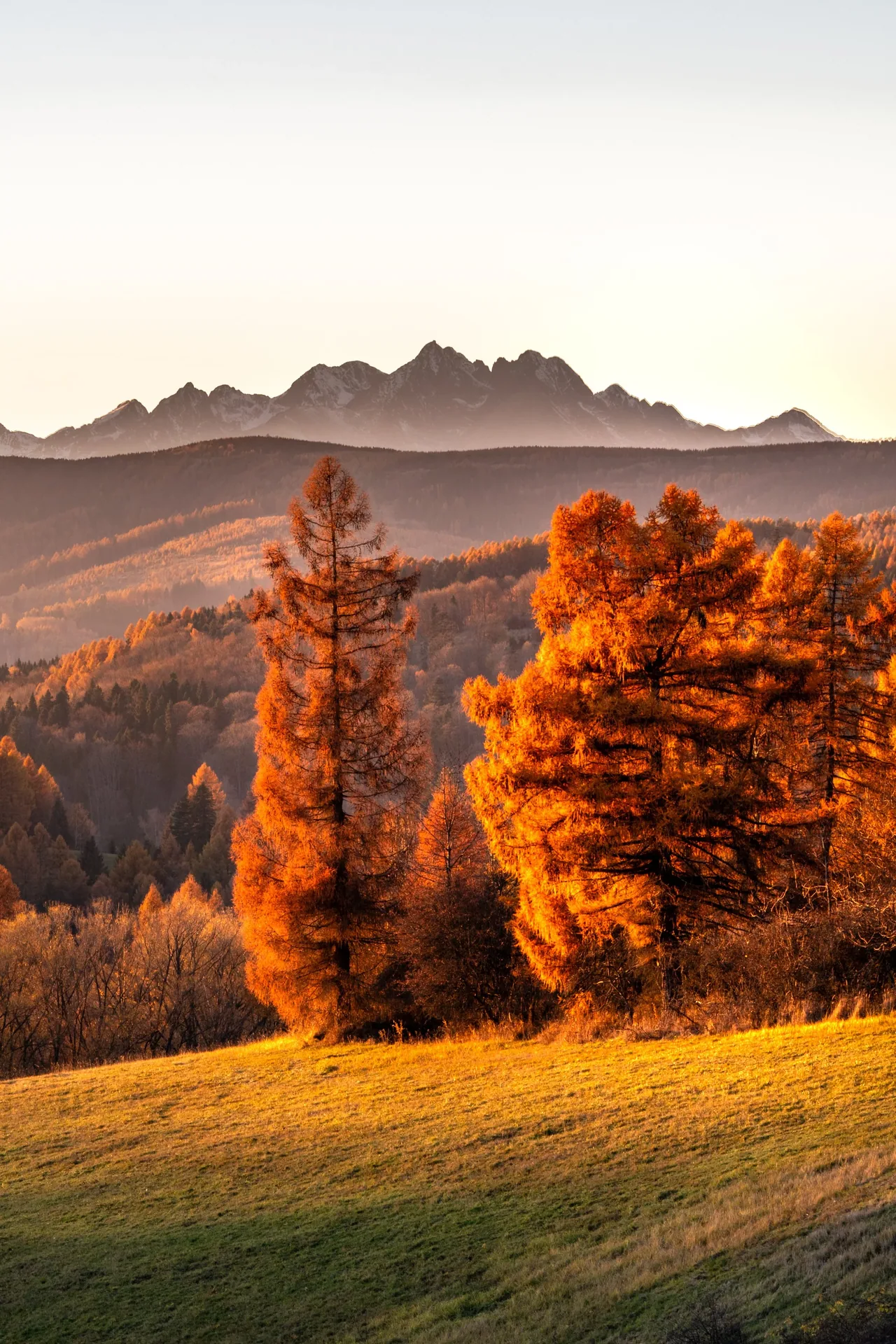 KAR03387-HDR.jpg