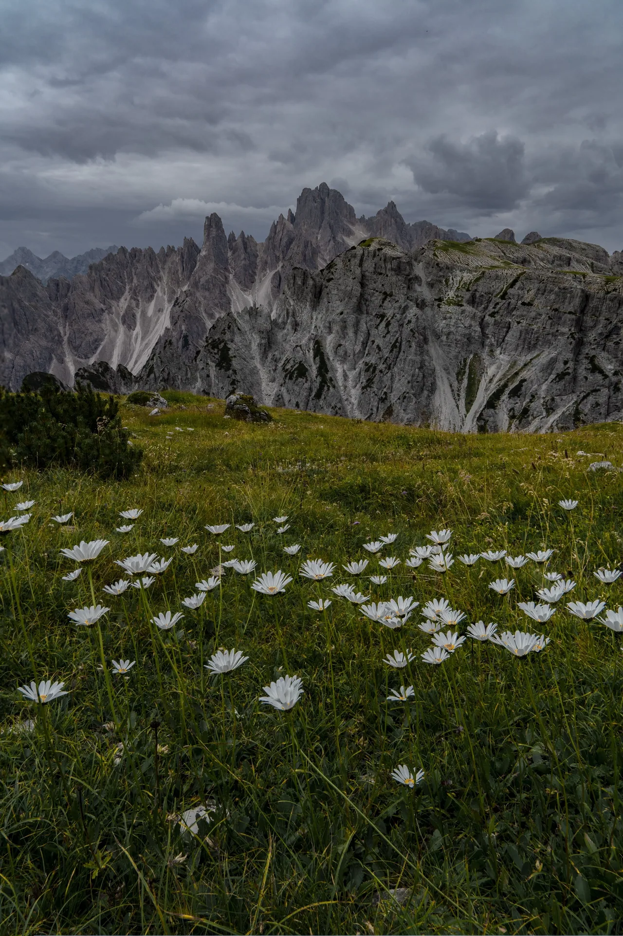 DSC06383-Edit.jpg
