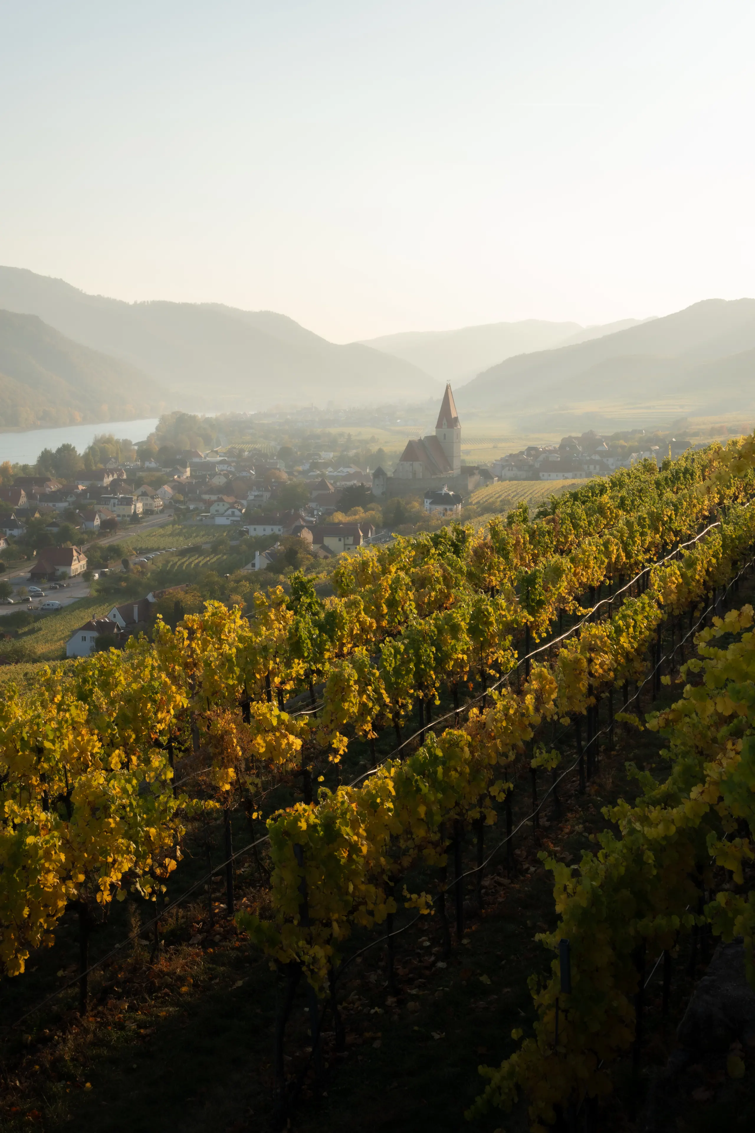 KAR06268 2