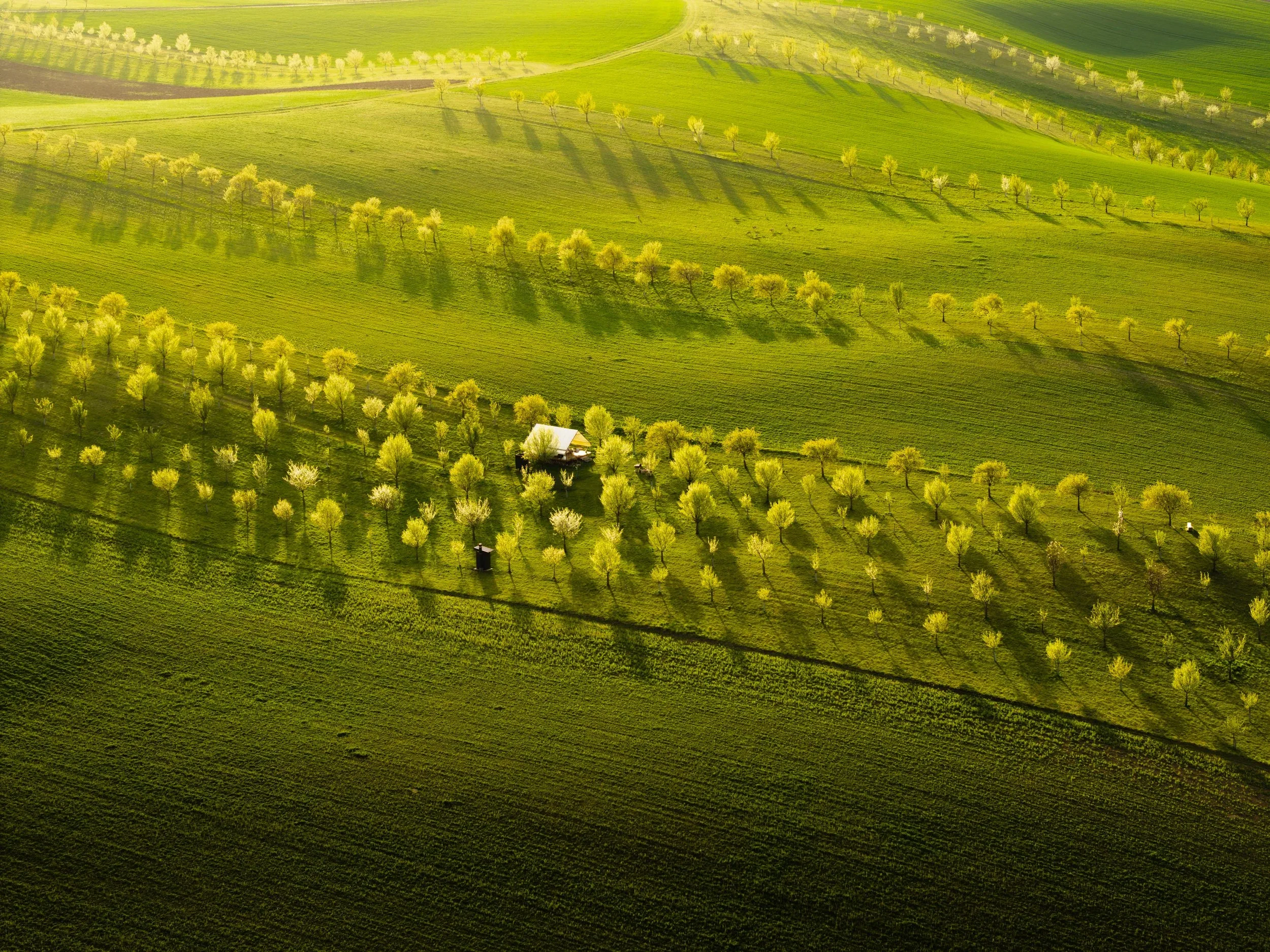 Czech Republic