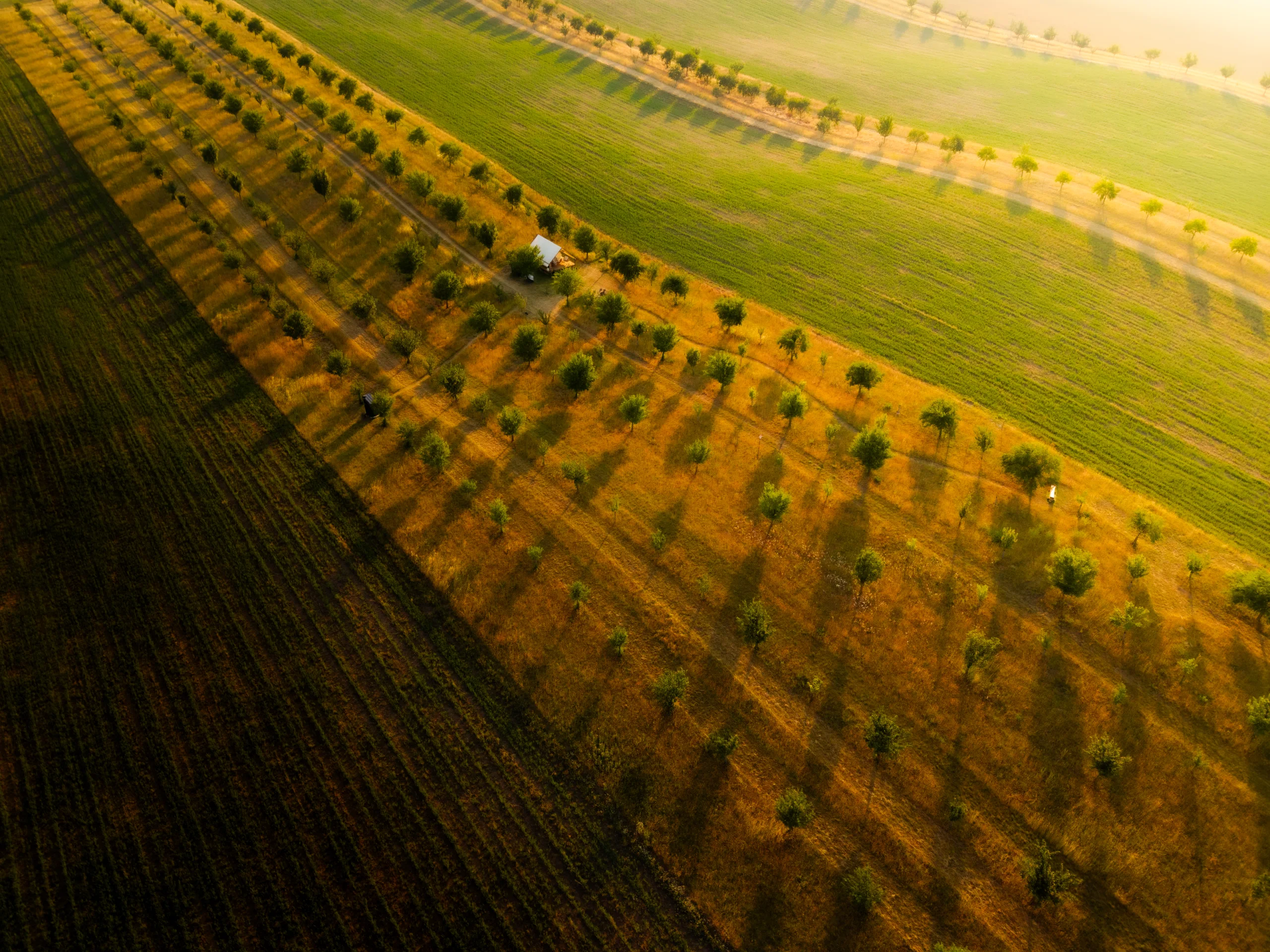 DJI FC9113 8192x6144 000266 HDR Edit 2