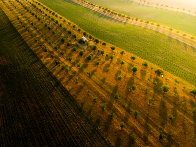 DJI FC9113 8192x6144 000266 HDR Edit 2