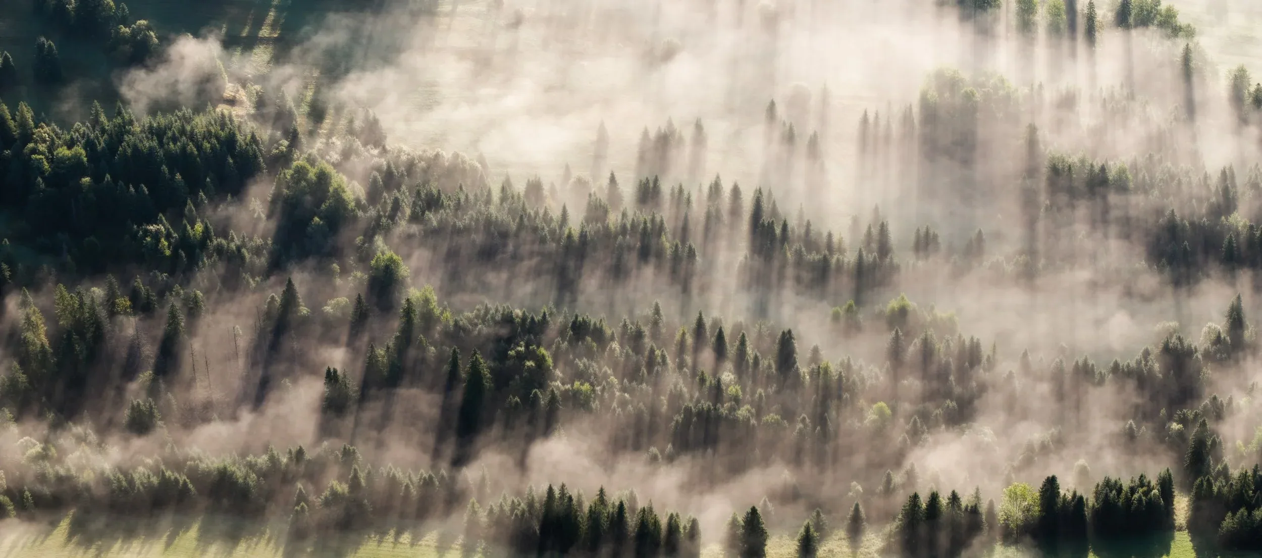 Slovakia