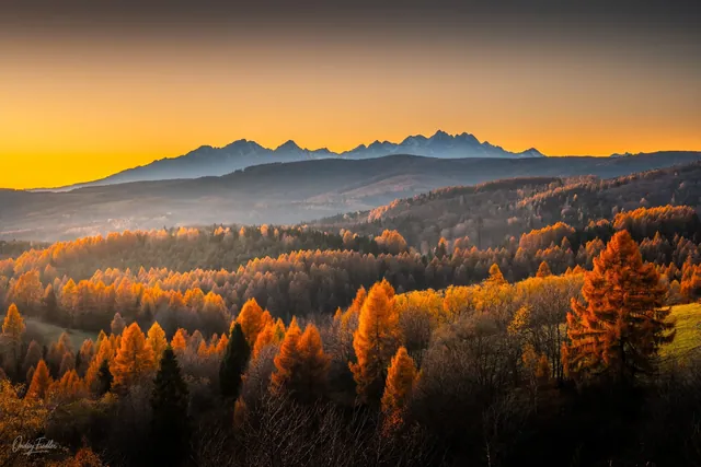 Slovakia