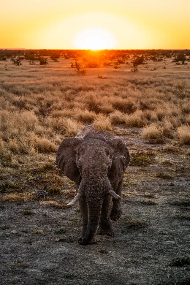 Namibie