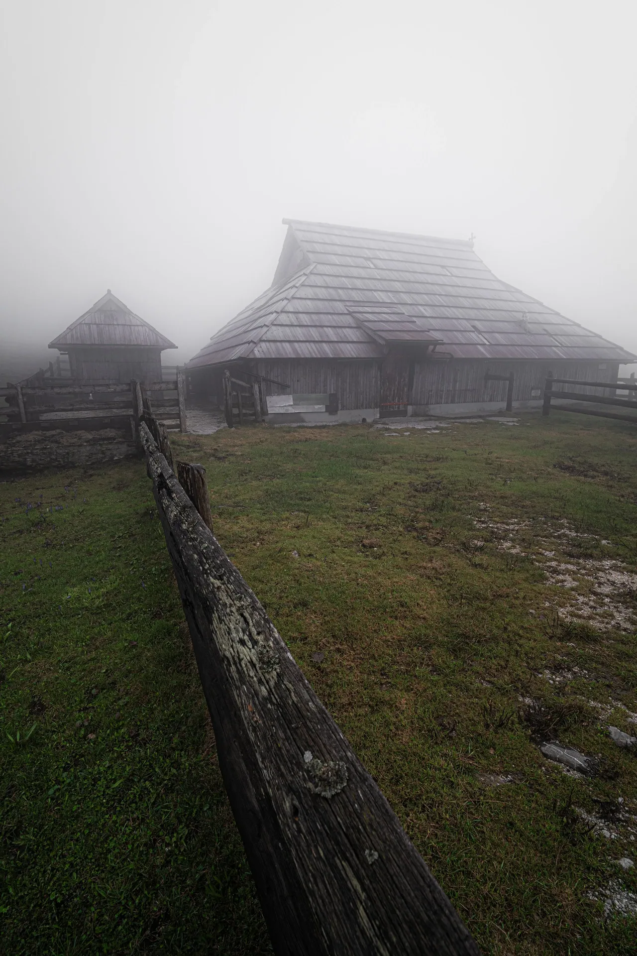 DSC09568.jpg