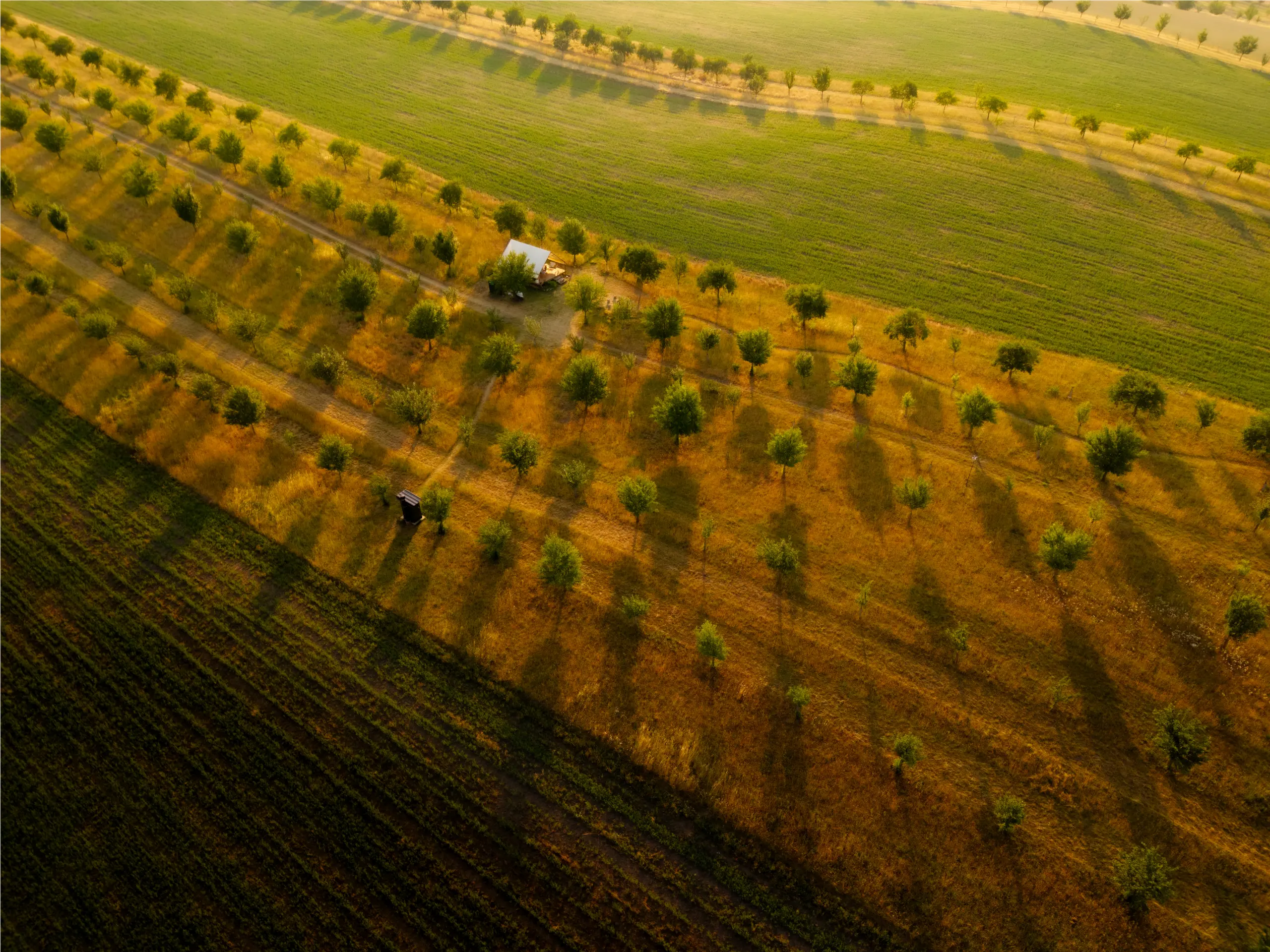 DJI FC9113 8192x6144 000270 HDR Edit