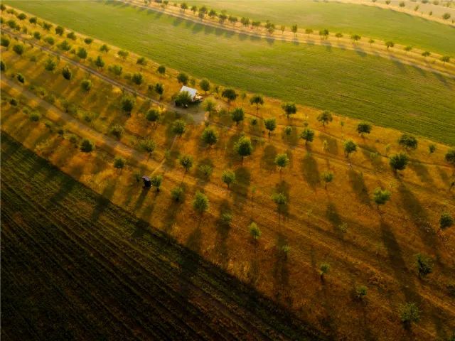 DJI FC9113 8192x6144 000270 HDR Edit